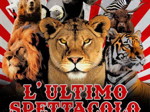 'L’ultimo spettacolo', il 7, 8 e 9 Aprile al Cinema il primo film che racconta la piu’ grande liberazione di animali da un circo