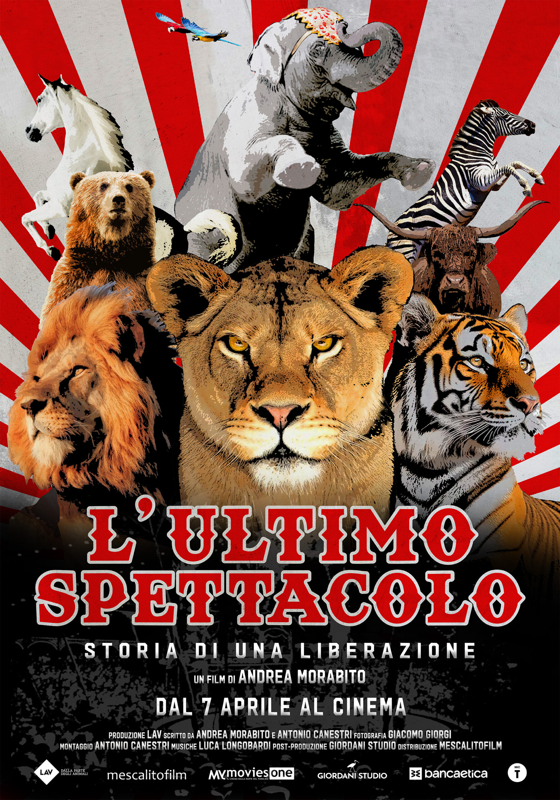 'L’ultimo spettacolo', il 7, 8 e 9 Aprile al Cinema il primo film che racconta la piu’ grande liberazione di animali da un circo